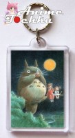 Totoro 01